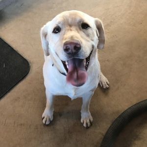 Meet your Posher, Madison